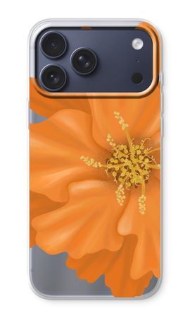 Orange Ellila flower