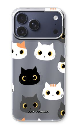 Katzen
