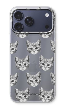 Kitten