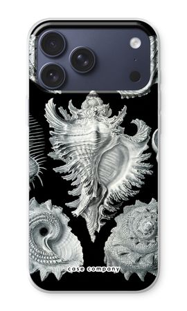 Haeckel Prosobranchia
