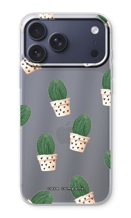 Kaktus rosa