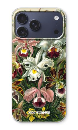 Haeckel Orchidae