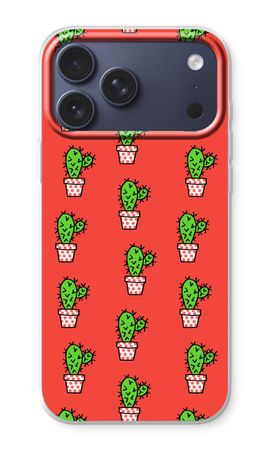 Mini cactus