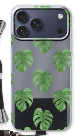 Monstera leaves