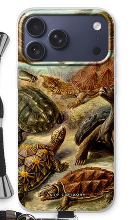 Haeckel Chelonia