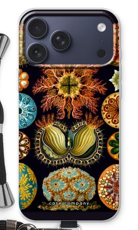 Haeckel Ascidiae