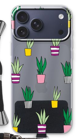 Sanseveria