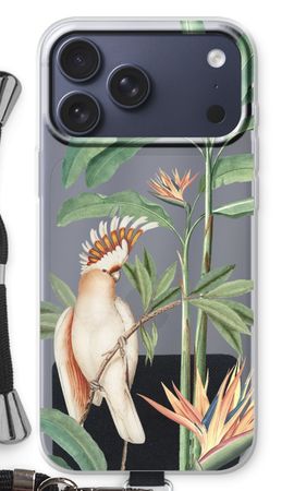 Tropical Parrot