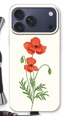 Red poppy