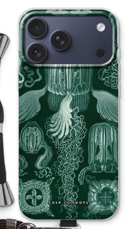 Haeckel Cubomedusae