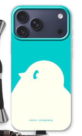 BIG Robin 2