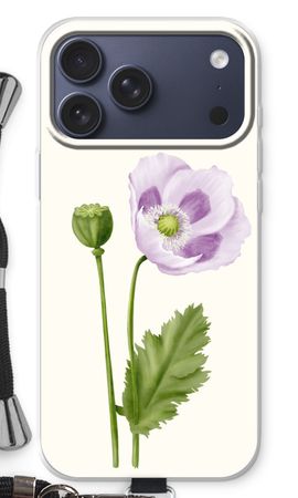 Purple poppy