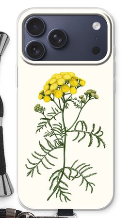 Tansy