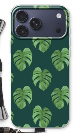 Monstera leaves
