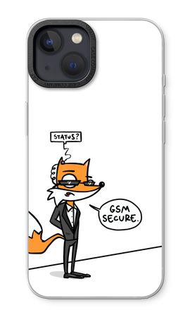 GSM secure