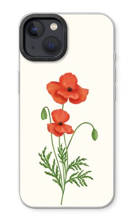 Red poppy