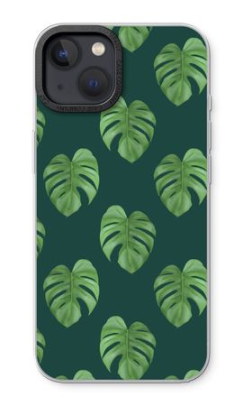 Monstera leaves