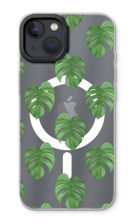 Monstera leaves