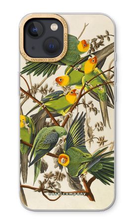 Carolina Parrot
