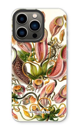 Haeckel Nepenthaceae