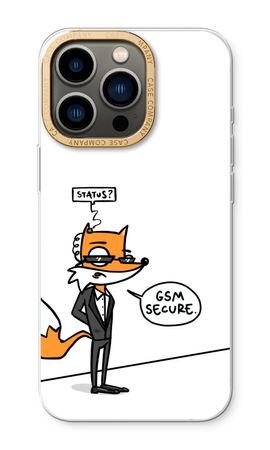 GSM secure