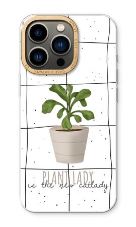 Houseplant on windowpane