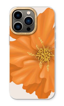 Orange Ellila flower