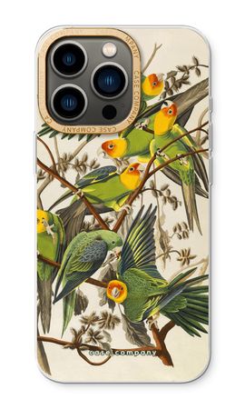 Carolina Parrot