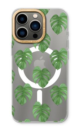 Monstera leaves