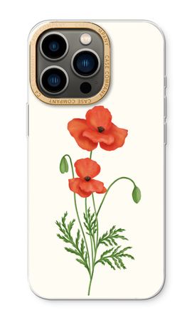 Red poppy