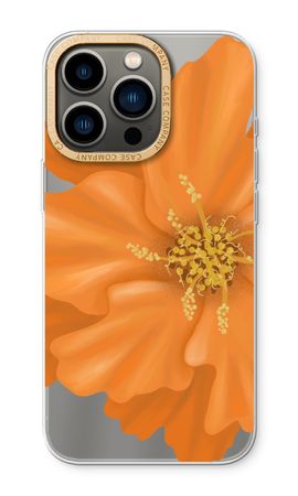 Orange Ellila flower