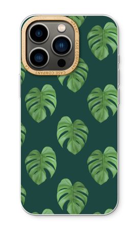 Monstera leaves