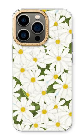 Summer Daisies
