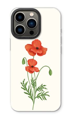 Red poppy