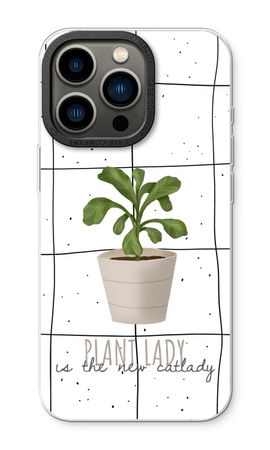 Houseplant on windowpane