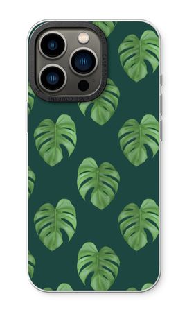 Monstera leaves