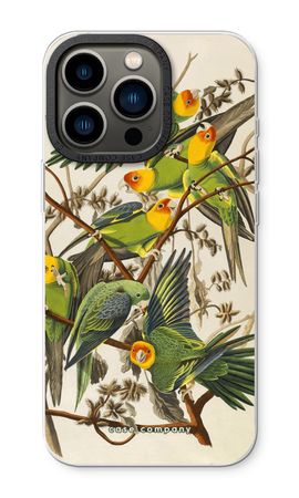 Carolina Parrot