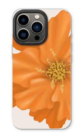 Orange Ellila flower