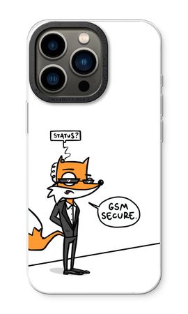 GSM secure