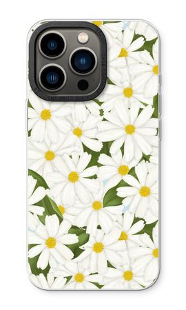 Summer Daisies