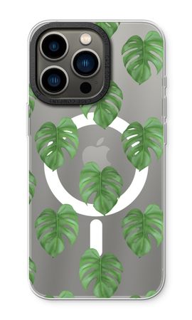 Monstera leaves
