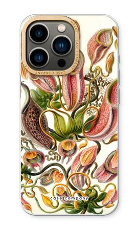 Haeckel Nepenthaceae