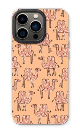 Camel