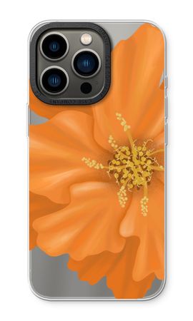 Orange Ellila flower