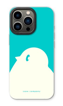 BIG Robin 2