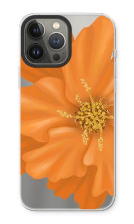 Orange Ellila flower