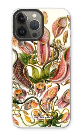 Haeckel Nepenthaceae