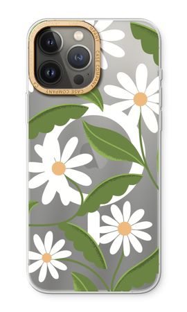 Daisies All Over