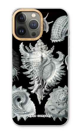 Haeckel Prosobranchia