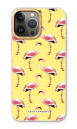 Flamingos yellow
